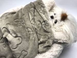 Hunde-Decke Kuscheldecke KNOCHEN