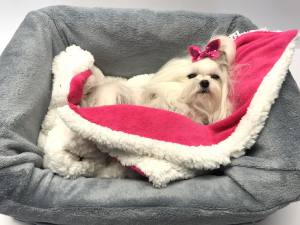 Hunde-Decke Kuscheldecke BONS Gr.M