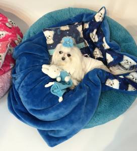 Hunde-Decke Kuscheldecke MALTESER BLAU HANDMADE