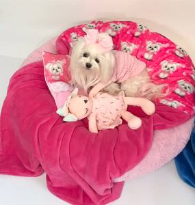 Hunde-Decke Kuscheldecke MALTESER PINK HANDMADE