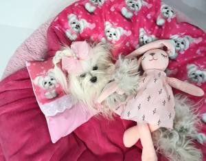 Hunde-Decke Kuscheldecke MALTESER PINK HANDMADE