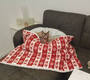 Hunde-Decke Kuscheldecke RENTIER