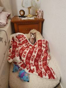 Hunde-Decke Kuscheldecke RENTIER