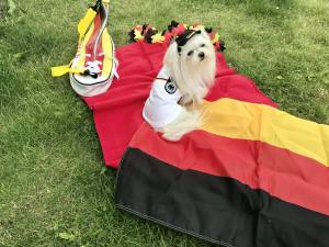 Hunde Fussball T-Shirt Trikot DEUTSCHLAND  SMALL DOG