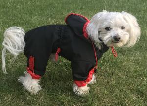 Hunde Winteranzug * LABEO *  RESTPOSTEN