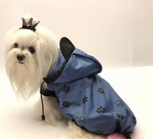 Hunde Regenjacke BLUE PAW mit Reisverschluss