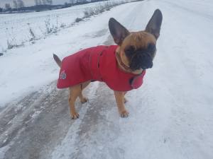 Hunde Regenmantel  LEYLA RED