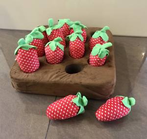 Hunde Schnüffelspiel Riesen Erdbeeren -Feld