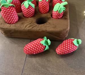 Hunde Schnüffelspiel Riesen Erdbeeren -Feld