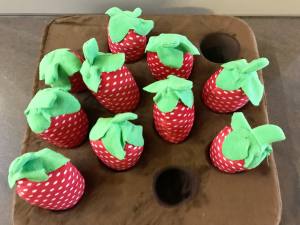 Hunde Schnüffelspiel Riesen Erdbeeren -Feld