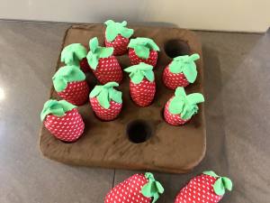 Hunde Schnüffelspiel Riesen Erdbeeren -Feld