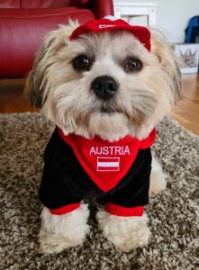 Hunde Sweatshirt AUSTRIA