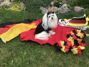 Hunde Sweatshirt GERMANY DEUTSCHLAND