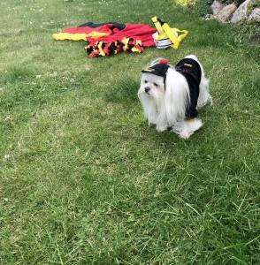 Hunde Sweatshirt GERMANY DEUTSCHLAND