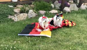 Hunde Sweatshirt GERMANY DEUTSCHLAND