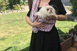 Hunde Tragetuch Blümchen rosa/Grau