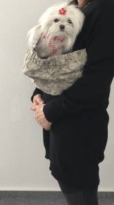 Hunde Tragetuch NATUR -Schwarz