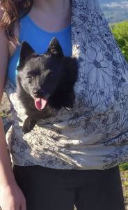 Hunde Tragetuch NATUR -Schwarz