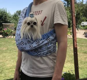 Hunde Tragetuch Blau mit Bällen