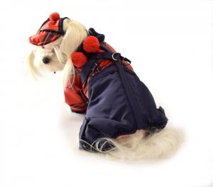 WATSON Hunde Winteranzug Wintermantel Skimantel mit D-Ring für Hunde