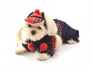 WATSON Hunde Winteranzug Wintermantel Skimantel mit D-Ring für Hunde
