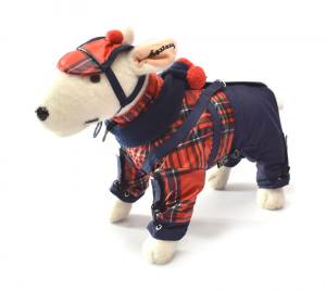 WATSON Hunde Winteranzug Wintermantel Skimantel mit D-Ring für Hunde