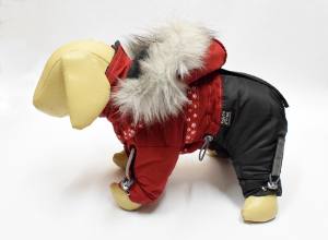 ATLANTA Hunde Winteranzug mit Geschirr Girls OnLY für Hunde Restposten