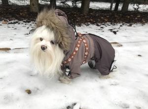 YUKON Hunde Winteranzug mit Geschirr für Hunde