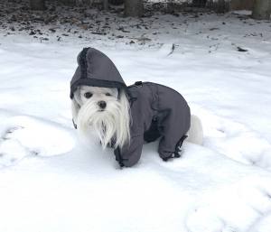 *GANDALF * Hunde Winteranzug,Wintermantelmit Gr.6 EINZELSTÜCK