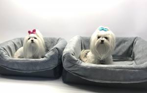 Hundeautositz DOGSZONE BLACK Farben Wahl