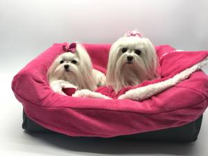 Hundeautositz DOGSZONE BLACK Farben Wahl