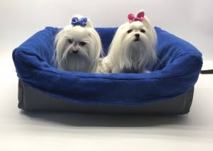 Hundeautositz DOGSZONE BLACK Farben Wahl