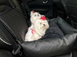 Hundeautositz /Reisebett FIRST CLASS BLACK