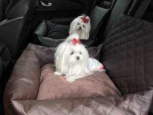 Hundeautositz /Reisebett FIRST CLASS BROWN