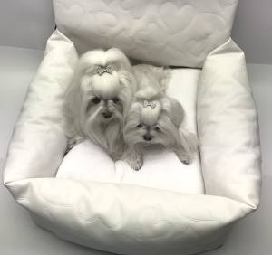 Hundeautositz /Reisebett FIRST CLASS WHITE HEART