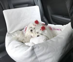 Hundeautositz /Reisebett FIRST CLASS WHITE HEART