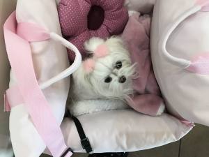 Hundeautositz /Reisebett /Tasche DOGSZONE ROSA