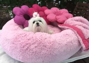 Hundebett DOGSZONE DONUT ROSA kuschelig HANDMADE