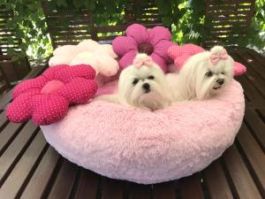 Hundebett DOGSZONE DONUT ROSA kuschelig HANDMADE