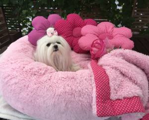 Hundebett DOGSZONE DONUT ROSA kuschelig HANDMADE
