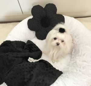 Hundebett DOGSZONE DONUT  Weiss kuschelig