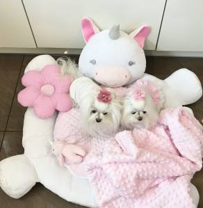 Hundebett EINHORN EINMALIG inkl.Decke,Kissen ,Bögen