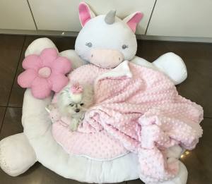 Hundebett EINHORN EINMALIG inkl.Decke,Kissen ,Bögen