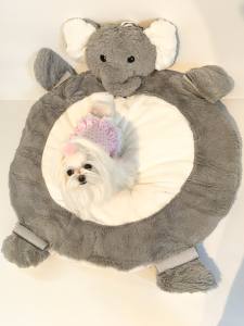 Hundebett ELEFANT inkl.Decke,Kissen,Schnüffelteppich,Herz