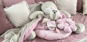 Hundebett HASE inkl.Decke,Kissen,Bögen