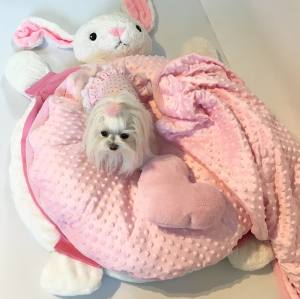 Hundebett HÄSCHEN inkl.Decke,Kissen,Schnüffelteppich,Herz
