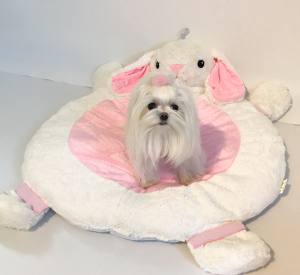 Hundebett HÄSCHEN inkl.Decke,Kissen,Schnüffelteppich,Herz