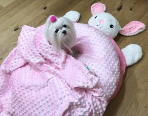 Hundebett HÄSCHEN inkl.Decke,Kissen,Schnüffelteppich,Herz