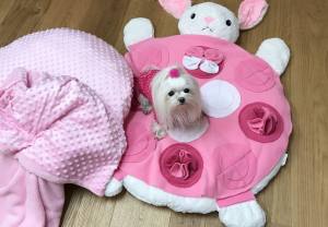 Hundebett HÄSCHEN inkl.Decke,Kissen,Schnüffelteppich,Herz