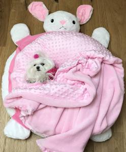 Hundebett HÄSCHEN inkl.Decke,Kissen,Schnüffelteppich,Herz
